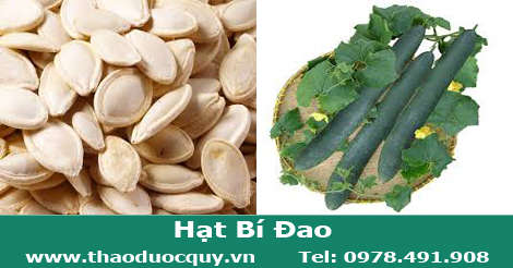 Hạt bí đao