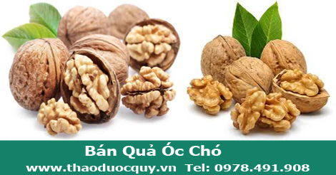 Quả óc chó/ Hồ đào nhục