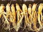 Sử dụng Hồng Sâm thế nào cho đúng cách
