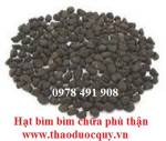 Hạt bìm bìm (hắc sửu) chữa phù thận