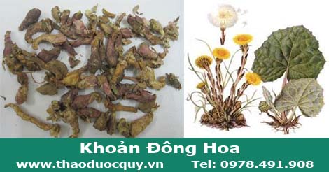 C&acirc;y khoản đ&ocirc;ng hoa