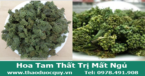 hoa tam thất 