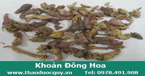 khoản đ&ocirc;ng hoa trị vi&ecirc;m phế quản, hen suyễn, lao phổi