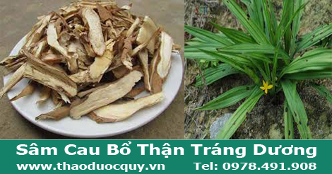 s&acirc;m cau bổ thận tr&aacute;ng dương