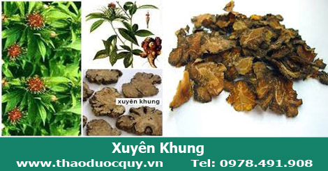 vị thuốc xuy&ecirc;n khung